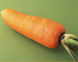 食材蔬菜配送-胡萝卜